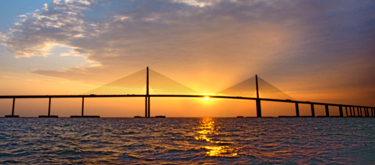 Skyway Web Design and Marketing - Trinity, Safety Harbor, Tampa