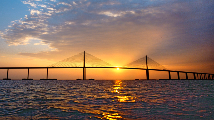 Skyway Web Design and Marketing - Trinity, Safety Harbor, Tampa