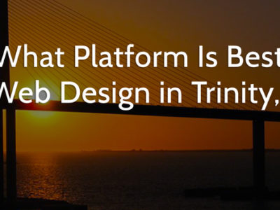 What Platform Is Best for Web Design in Trinity, FL?