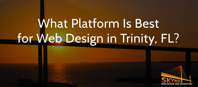 What Platform Is Best for Web Design in Trinity, FL?