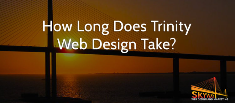 web design in Trinity, FL