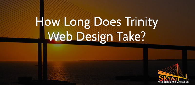 web design in Trinity, FL