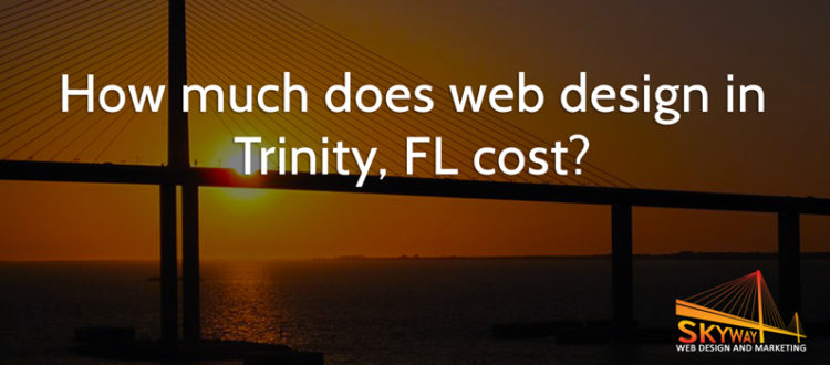 web design in Trinity