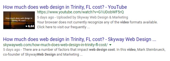 SEO Trinity FL - 2 listings in Google search results