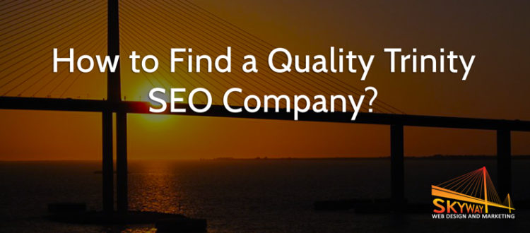 Trinity SEO company