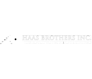Website Design New Port Richey - Haas Brothers