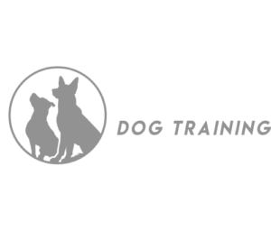Web Design Tampa - North Tampa Dog Training
