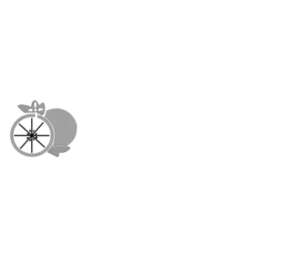 Website Design Clearwater FL - Orange Blossom Developers
