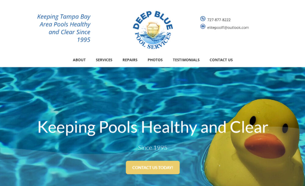 Deep Blue Pool Services - Website Design and Marketing in Trinity, FL and New Port Richey, FL