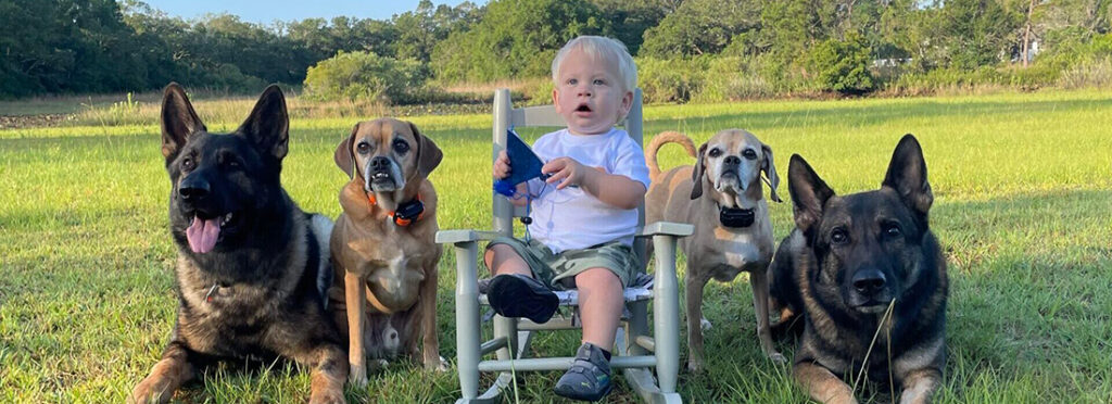 Tampa SEO and Website Design Client North Tampa Dog Training