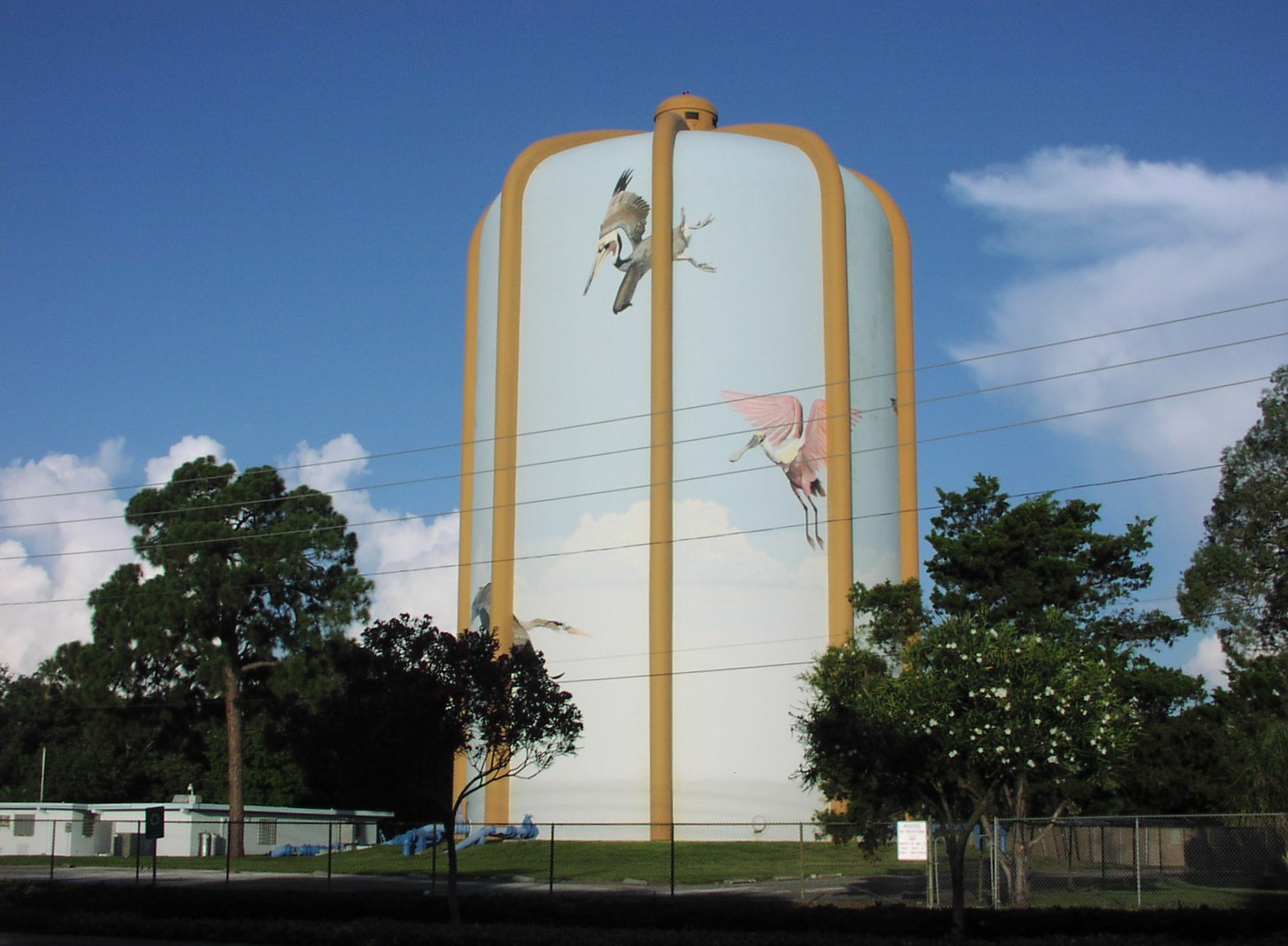 effective Seminole, FL website solutions