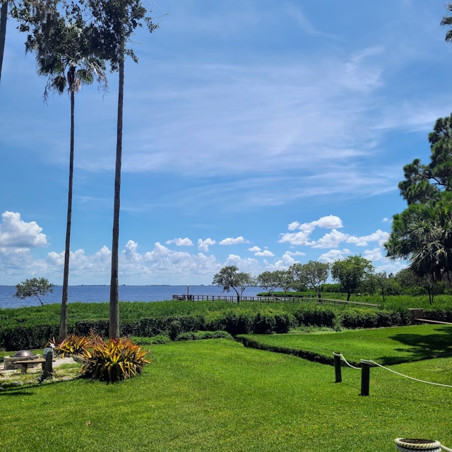 Search engine optimization Clearwater / Safety Harbor website design - Safety Harbor waterfront